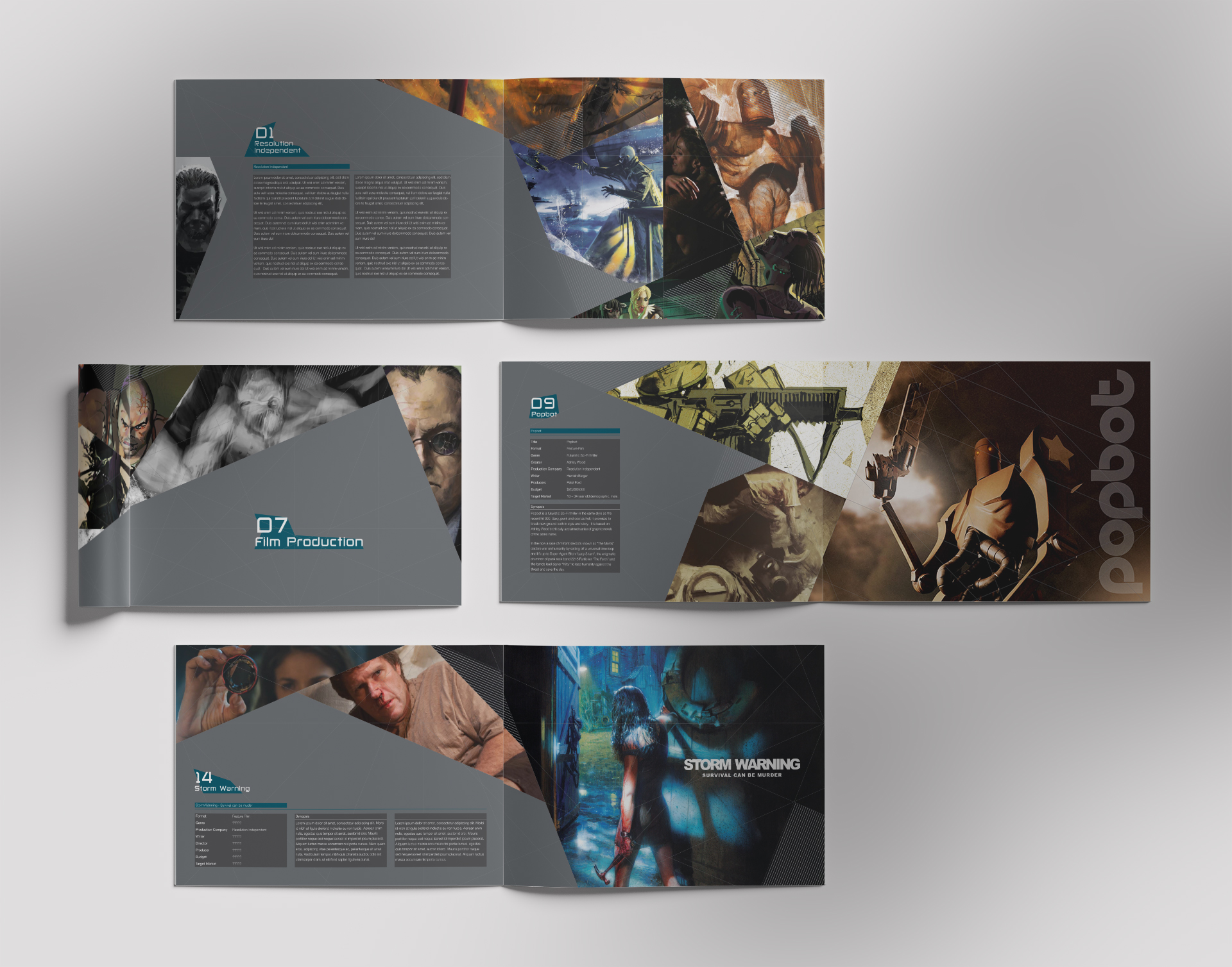 Resolution Independent Brochure